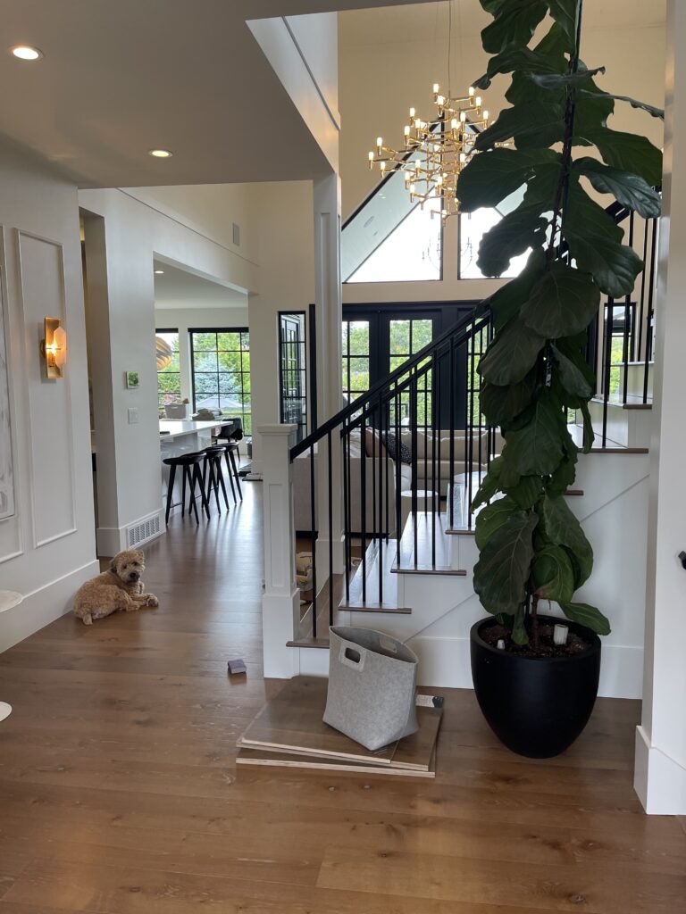 img 1633 gurmukh pannu